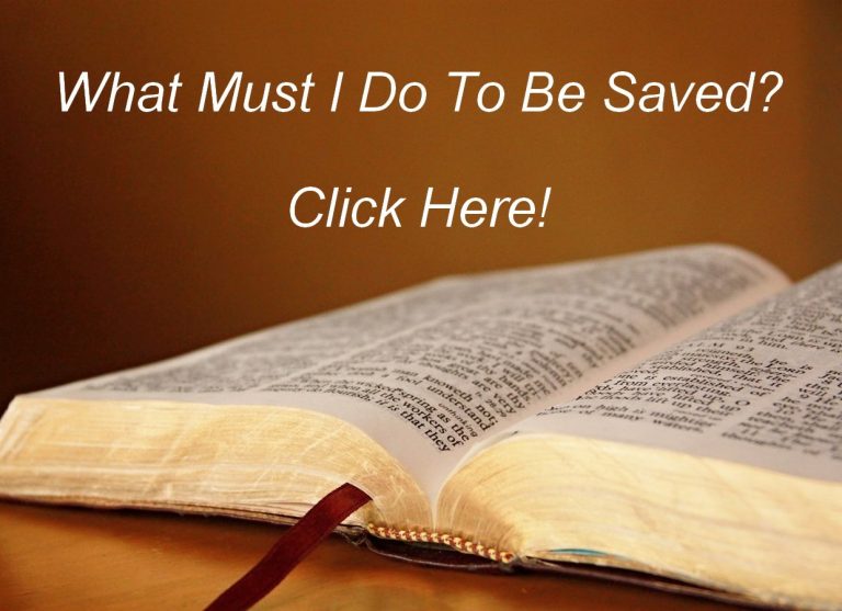 Bible Courses Interactive Bible Study